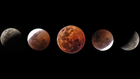 Exploring the Dark Side of the Occult Lunar Eclipse